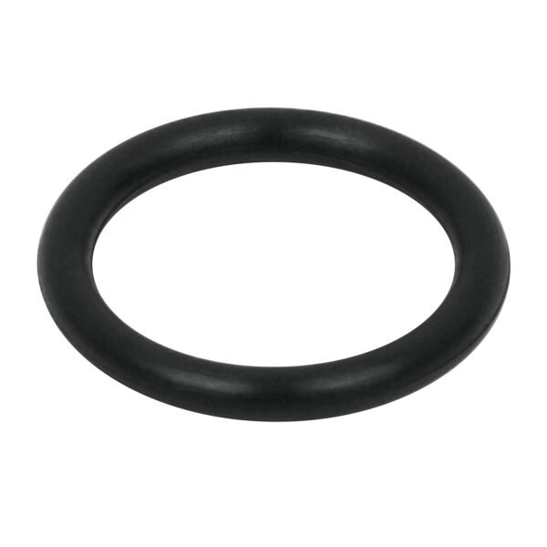 O ring para tapón para fumigadora FM-425 TRUPER 11903