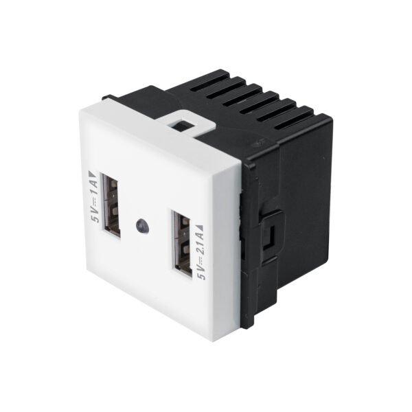 Toma con 2 puertos USB de 1.5 módulos línea Toledo Basic 29051