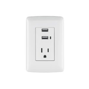 Contacto aterrizado + 2 puertos USB blanco línea Italiana 48065