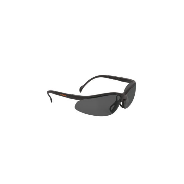 Lentes de seguridad grises Truper Vision 14302