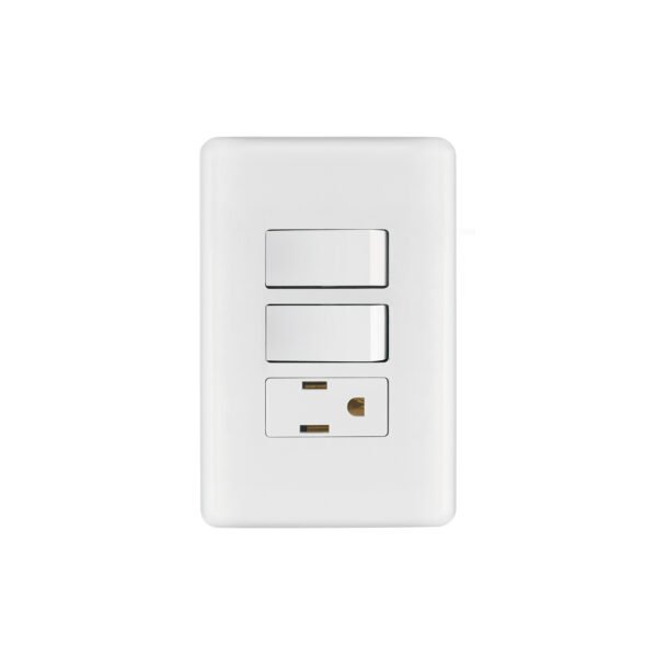 Placa armada con contacto y 2 interruptores sencillos Basic 25081