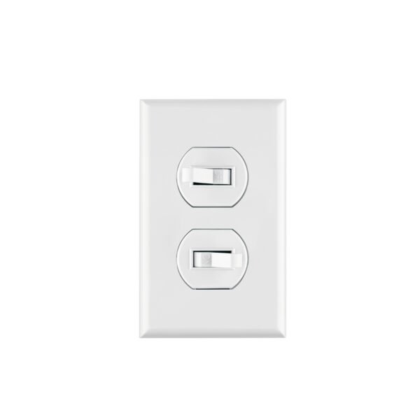 Placa armada 2 interruptores sencillo línea Standard blanc 45953