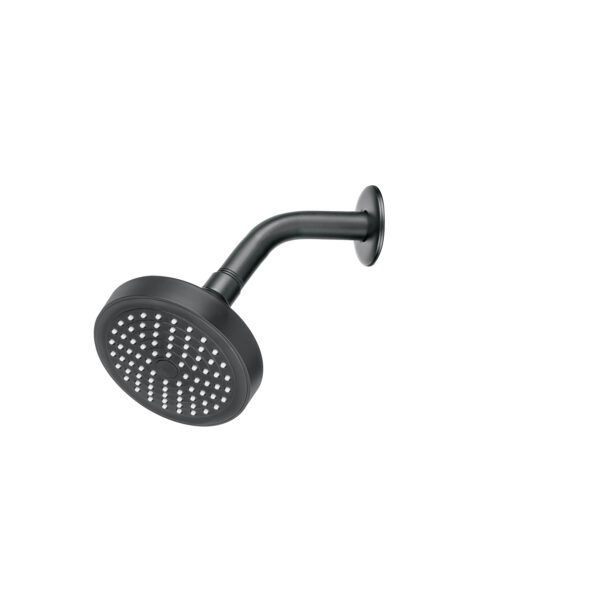 Regadera redonda 4-1/4 brazo y chapetón negro Basic 48422
