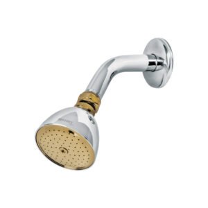 R-509G.jpg Regadera cónica 2-1/2 cromo-oro brazo y chapetón acero 49147