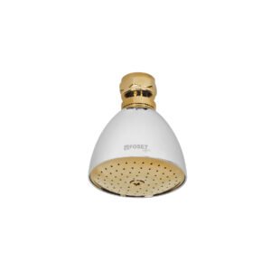 R-509SG.jpg Regadera cónica 2-1/2 cromo-oro sin brazo Foset Aqua 49148