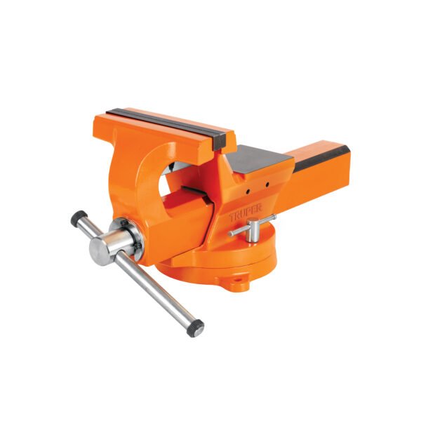 Tornillo de banco 8 industrial de hierro dÃºctil Expert 103620
