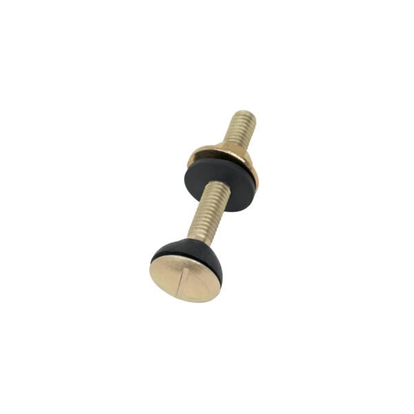 Bolsa con 2 tornillos 5/16 x 70 mm para tanque de WC a base 49331